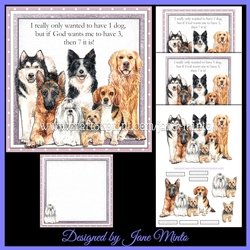 7 DOGS 
