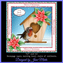 CHRISTMAS BIRD HOUSE