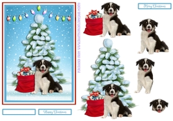 CHRISTMAS COLLIE 5X7