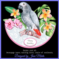 AFRICAN GREY ROCKER CARD