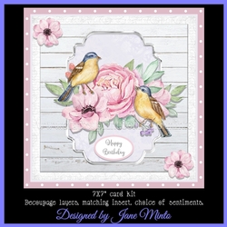 LITTLE BIRDS MINI KIT
