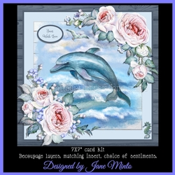 DOLPHIN FUN