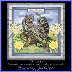 SPRING OWLS MINI KIT