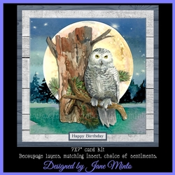 OWL MOON MINI KIT