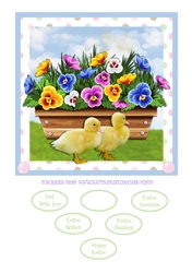LITTLE DUCKLINGS QUICK CARD
