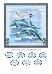 DOLPHINS QUICK CARD