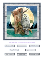OWL MOON QUICK CARD
