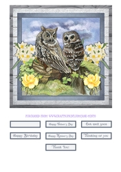 SPRING OWLS QUICK CARD