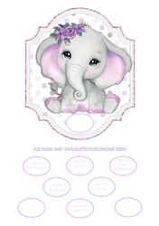 ELEPHANT QUICK CARD 2