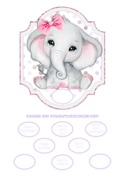 ELEPHANT QUICK CARD 3