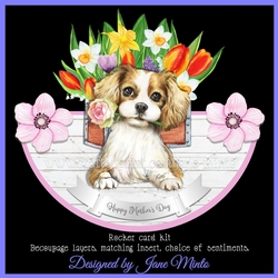 SWEET SPANIEL ROCKER CARD
