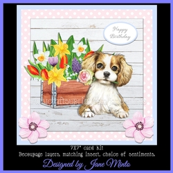 SWEET SPANIEL MINI KIT