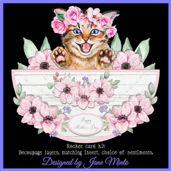KITTEN ROCKER CARD