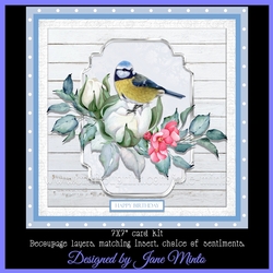 BLUE TIT MINI KIT