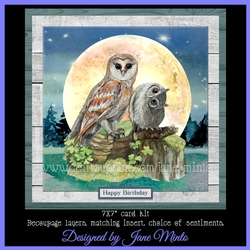 NIGHT OWLS MINI KIT