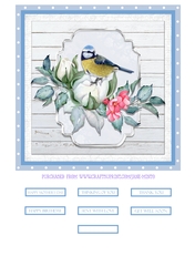BLUE TIT QUICK CARD