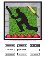 CRICKET QUICK CARD