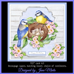 BLUE TITS NEST MINI KIT