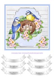 BLUE TITS NEST QUICK CARD