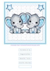 TWIN BOYS quick card