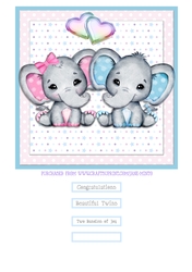 TWIN BOY GIRL quick card