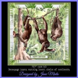 LITTLE MONKEYS