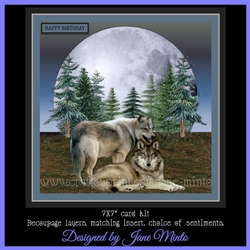 MOON WOLVES MINI KIT