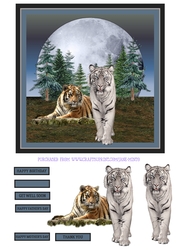 TIGERS QUICK CARD