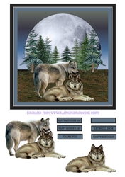 WOLVES QUICK CARD