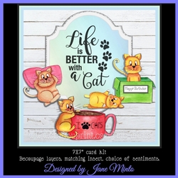 BETTER WITH A CAT MINI KIT