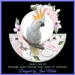 PRETTY BIRD 3 rocker card