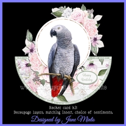 PRETTY BIRD 4 rocker card