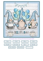 BIRTHDAY GNOMES - blue - QUICK CARD