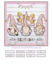 BIRTHDAY GNOMES - pink - QUICK CARD