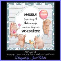 CATS WHISKERS - mini kit