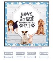 WET NOSES quick card