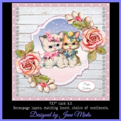 KITTENS MINI KIT