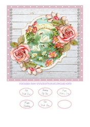SWANS quick card