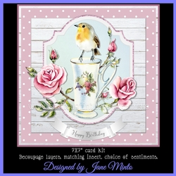 ROSEY ROBIN mini kit