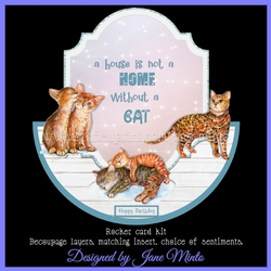 HOUSE OF CATS