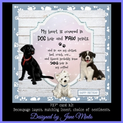 DOG HAIR - mini kit