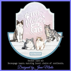 MORE CATS rocker card