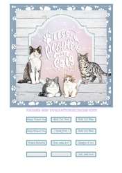 MORE CATS quick card.