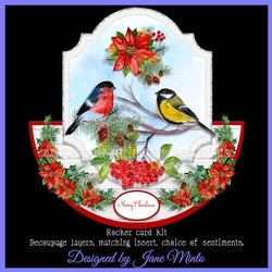 WINTER BIRDS rocker card