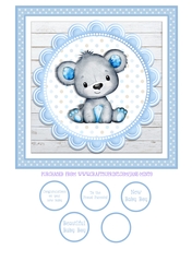 TEDDY BOY quick card