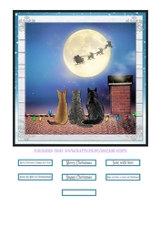 CHRISTMAS EVE CATS quick card