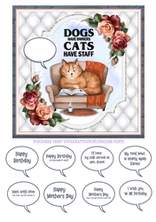 CATS HAVE STAFF #2 quick card