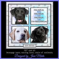 WATCHING YOU - LABRADORS