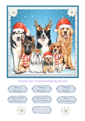 CHRISTMAS DOGS quick card