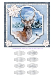 WINTER STAG quick card